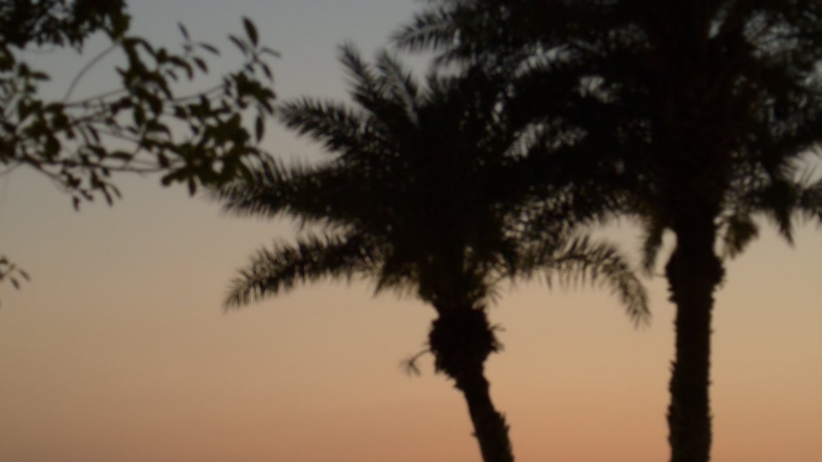 𝐬𝐥𝐢𝐜𝐞𝐬 𝐨𝐟 𝐥𝐢𝐟𝐞… 𝐧’ 𝐬𝐮𝐧𝐬𝐞𝐭