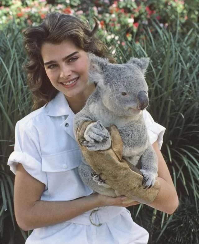 Modern History tweet media