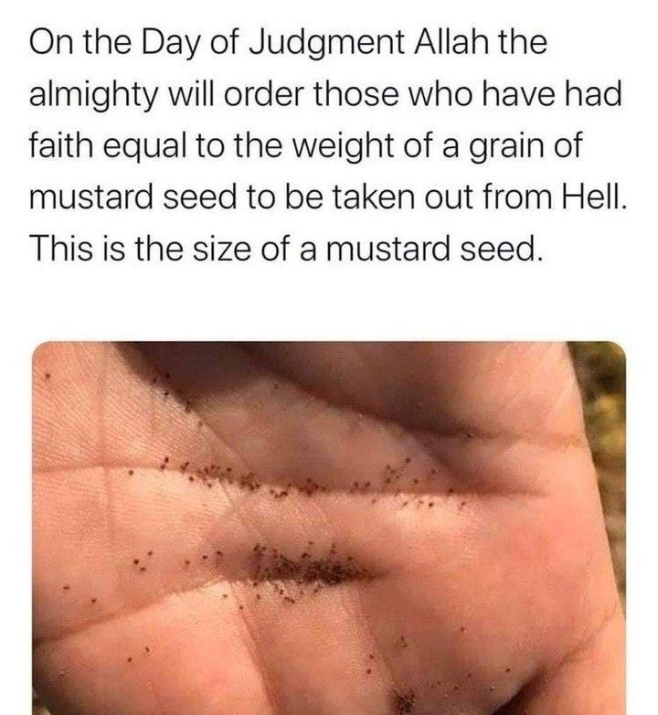 Allah is so merciful ☝️❤️