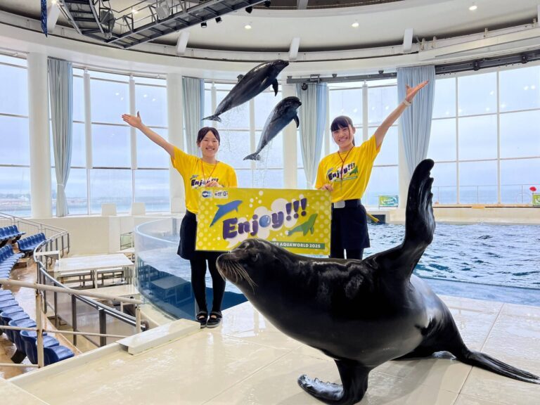 oarai_town's tweet image. 🌊SUMMER AQUAWORLD 2025 開催🌊
#アクアワールド・大洗 では、9/15(月)まで、水族館ならではの夏を楽しめるイベントを開催します😊
新フォトスポットや、夏限定特別演出のIWASHI LIFEなどが登場!
水族館の中で、生きものたちと一緒に夏の思い出を作りましょう🦈
詳細は☟
aquaworld-oarai.com/2025/07/11/sum…