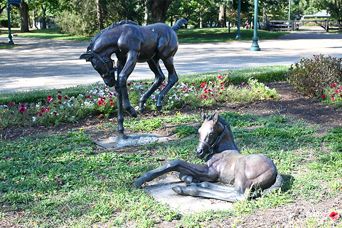 Cygames_EN's tweet photo. Kentucky Horse Park (@KyHorsePark) is a theme park in the heart of Kentucky dedicated to man's relationship with the horse, serving as an international hub for equine education, culture, and sport.
#Umamusume #CygamesMagazine https://t.co/ydnZIxAc1b