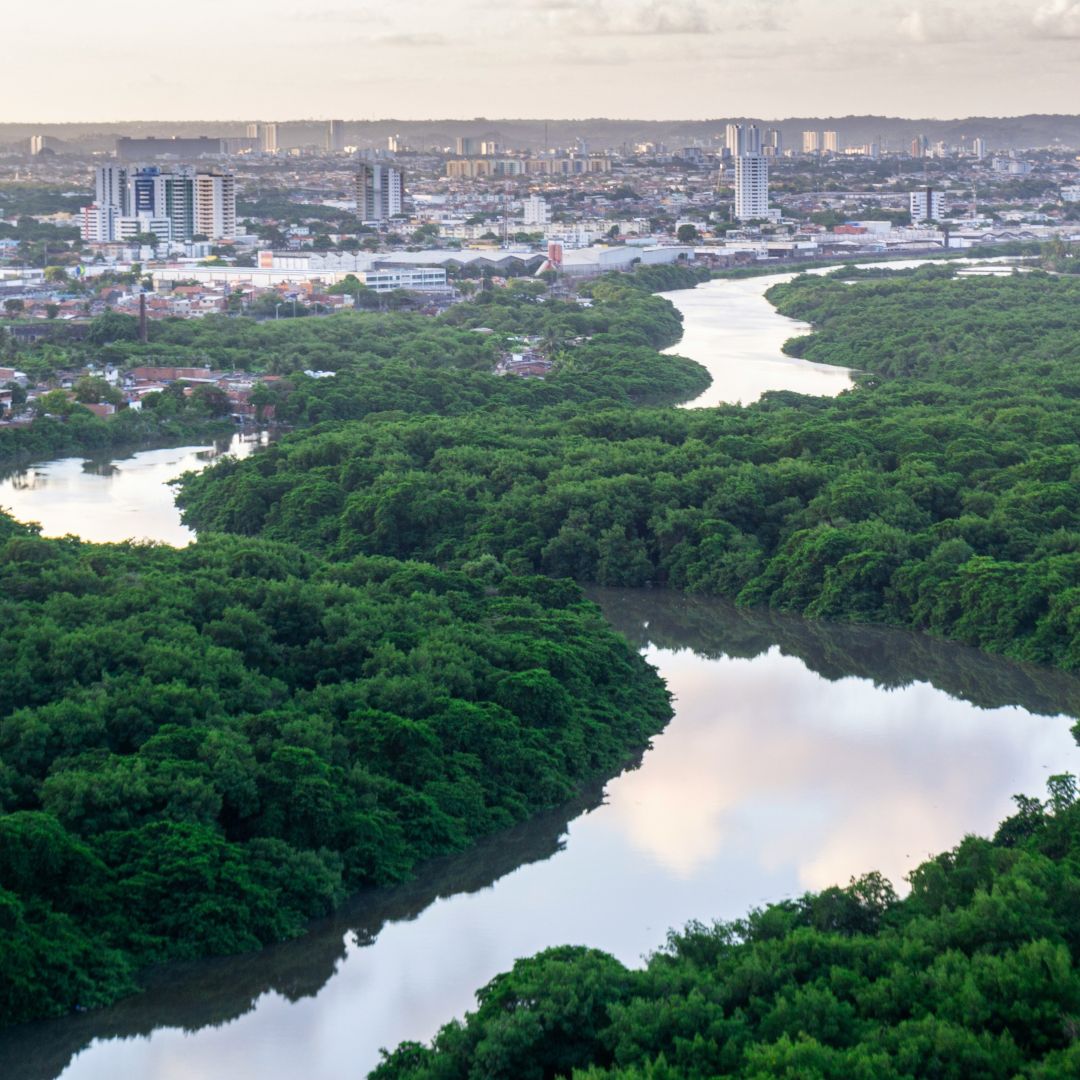 SfEP's tweet image. Urbanisation is now the leading driver of global water degradation.
A meta-analysis of 625 studies shows:
🏙️ Urban growth = rising pollutants
🌳 Forest cover = cleaner water
Read more ⬇️
environment.ec.europa.eu/news/global-ur…
#SfEP #WaterPollution