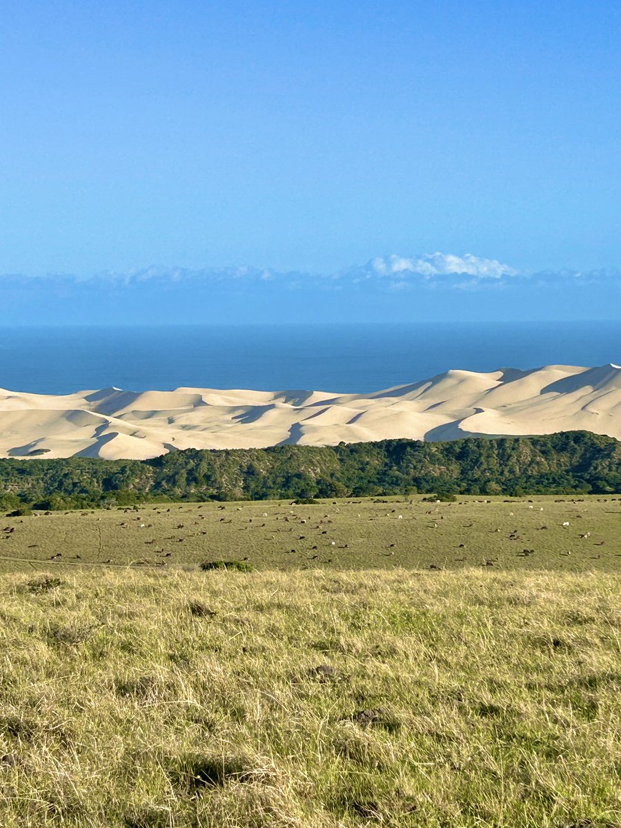 TheKiffness's tweet image. Somewhere in the Eastern Cape. Not many places in the world where you'll look over sea, dunes, wild bush & farmland all in one.
Beautiful province πΏπ¦