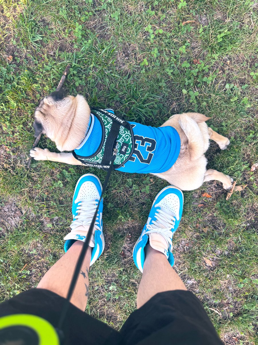 お揃いカラーでお散歩🐾