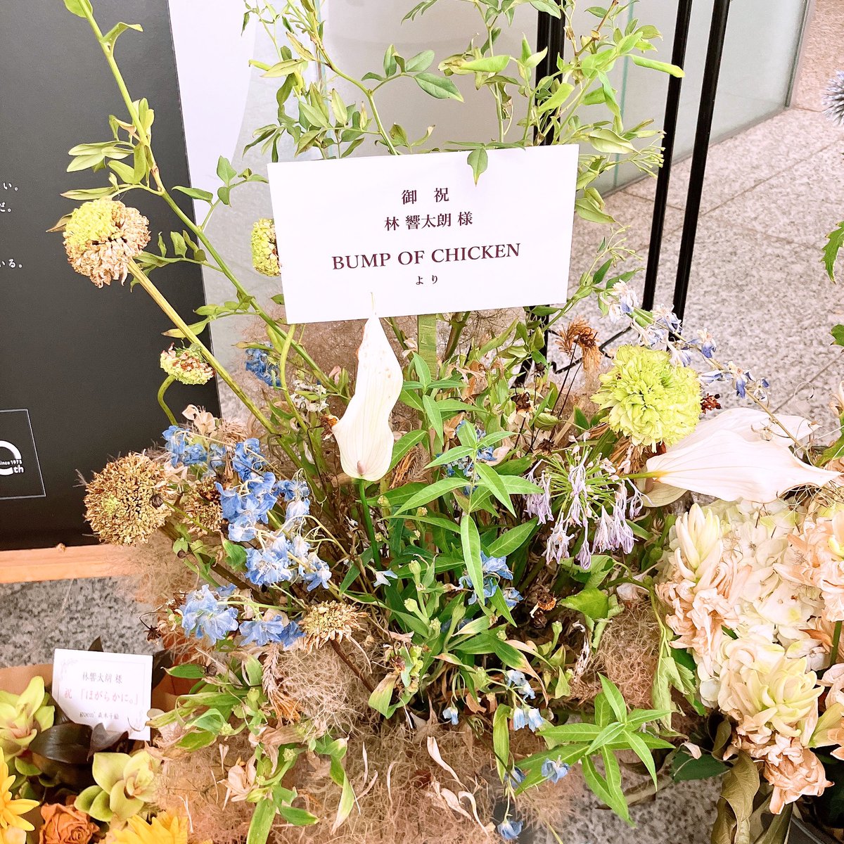bump1143's tweet photo. 林響太朗さんの個展、とても良かったです
写真や映像にある景色や人々のようにゆったりした時間をあの空間で過ごせました
音楽も癒されて、早速Apple Musicで林有三さんのアルバムを聴いてます https://t.co/oeF7dEZCGi
