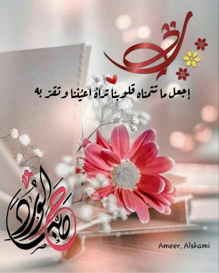 juhaalhakim (@juhaalhakim1) on Twitter photo 