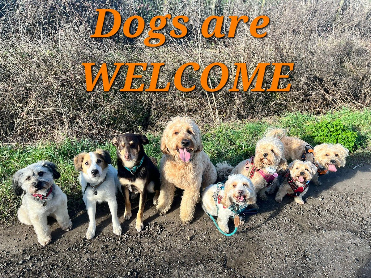 We're now DOG FRIENDLY at Edenmill Farm🦮😍

If you're out for Breakfast, Lunch, Morning Coffee, AND out for the day, We're happy to take your Dog Friendly Table Booking too...👍

Ps - We also have Tails Dog Field that's available to book also ⤵️
edenmill.co.uk/product/dogrun/