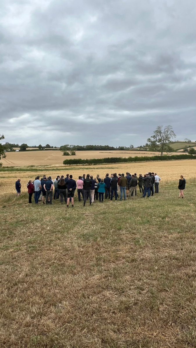 cereals_sw's tweet image. Last rodeo of the summer and a cracker it was too… 🌽🌾 Attendees from Tewkesbury to Truro and lots of genuine knowledge shared. Thanks to our host @steanbowfarms and speakers @Syngenta & @maizegrowers Watch your emails for the autumn / winter schedule @AHDB_Cereals