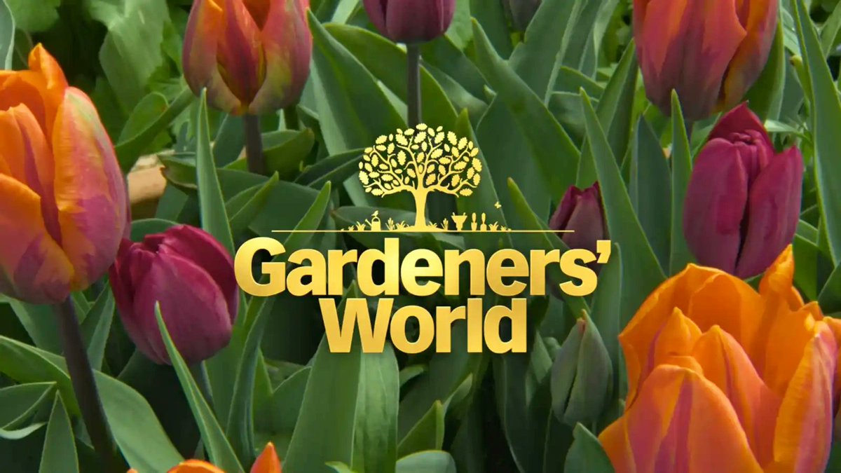 Films at 59 tweet media