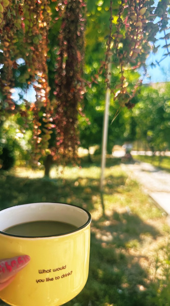 Günaydınnnn dişlerini fırçalarken kendi fırçasının yerinde durduğunu fark eden, 
tatile giderken fişini çektiği buzdolabında bir poşet et unutmaktan muzdarip bedbaht ky, kazançlı bir gün dilerim🤍

Modern köleler olarak hazırız Palacım, gönder gelsin😅

#xbank 16350 altında