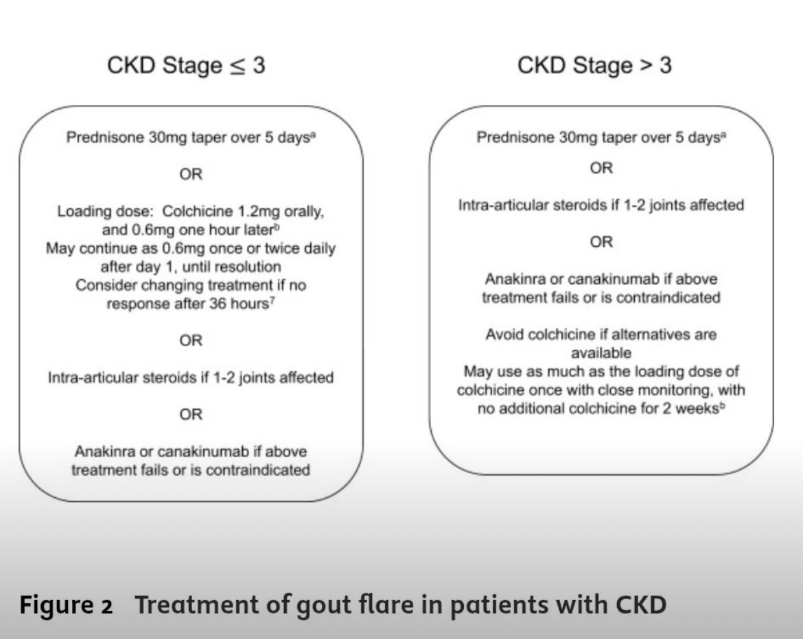 Gout Management in Patients With CKD