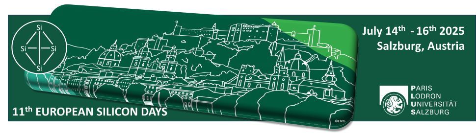 Dr. Juan José Vilatela gave an invited talk at the 11th European Silicon Days. He presented to leading companies and scientists our approach for producing silicon nanowire paper and its application in high-performance batteries.