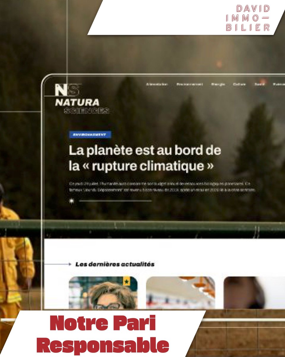 David Immobilier tweet media