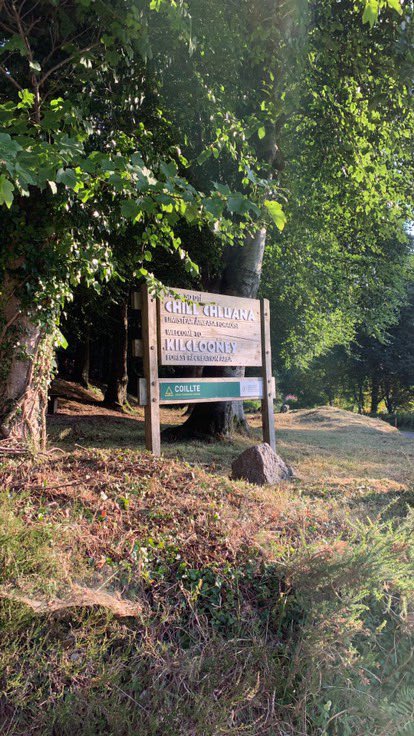 Damien Tiernan (@damienwlr) on Twitter photo LITTER LOUTS!!!!
Call them out!!!
The amount of litter up parts of the Comeraghs this week after groups of campers was horrendous. 
This was taken about 7.30/ 8am a morning this week after a listener to the show said ‘lads in question packed up and moved off’. LITTER LOUTS!!!!
Call them out!!!
The amount of litter up parts of the Comeraghs this week after groups of campers was horrendous. 
This was taken about 7.30/ 8am a morning this week after a listener to the show said ‘lads in question packed up and moved off’.