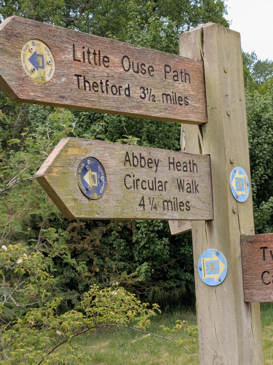 stedscath's tweet image. A big thank you to those who joined us last month for our St Edmund bus and walk pilgrimage. The 9 mile journey from Thetford to St Helen’s Holy Well, and on to Brandon was enjoyed by all!