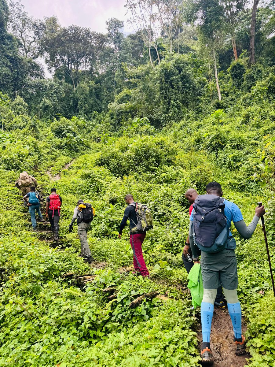 marcosruninngC1's tweet image. As we prepare our #MtElgon summit experience, let’s first celebrate our 100% summit rate to the team💃💃🔥
Well done team and can’t wait to share our hikers stories, experiences & memories……#comingsoon🤗
@MTWAUganda @ugwildlife @SummitFeverXped @tom_kabali @MarcosGymSpa1