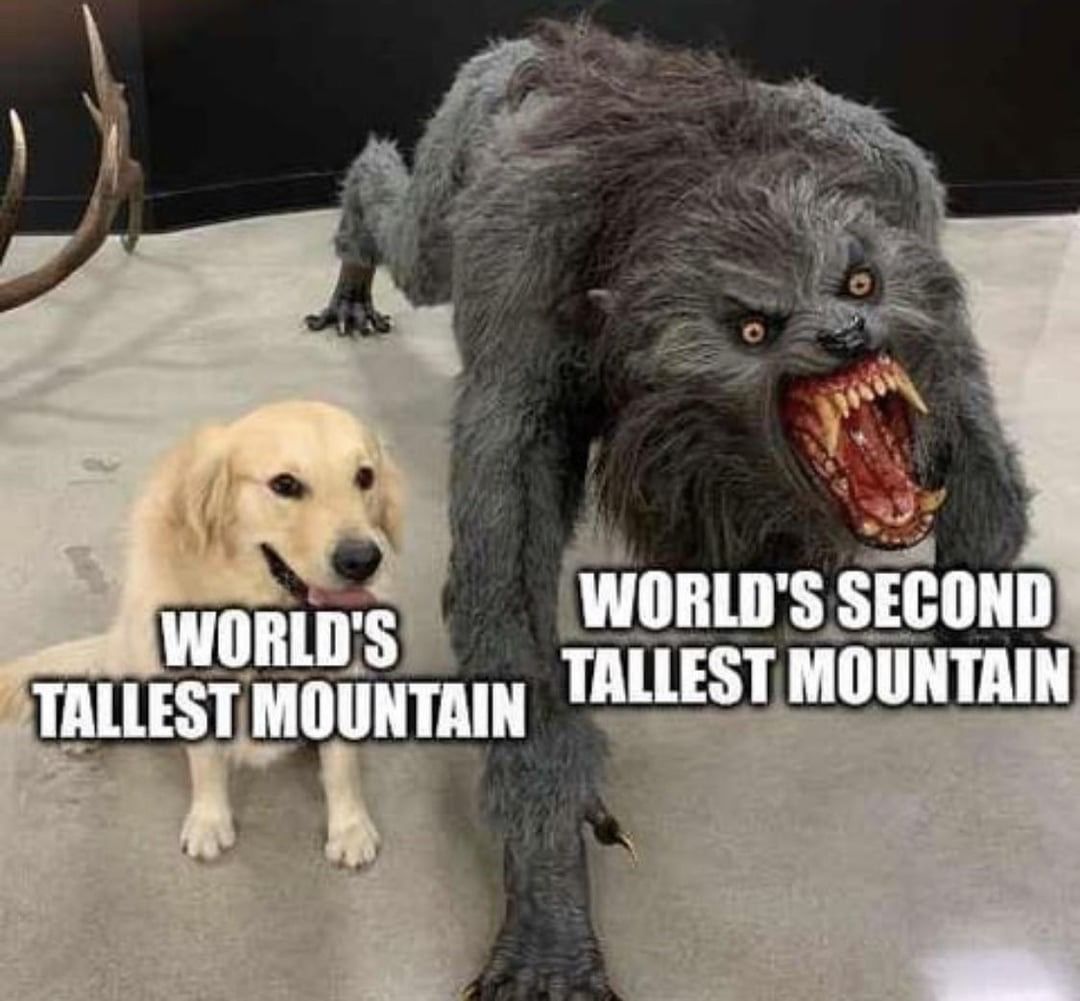 no context memes (@weirddalle) on Twitter photo 