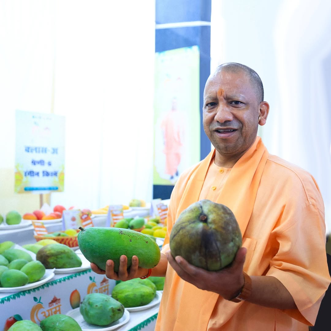 Yogi Model - योगी मॉडल tweet media