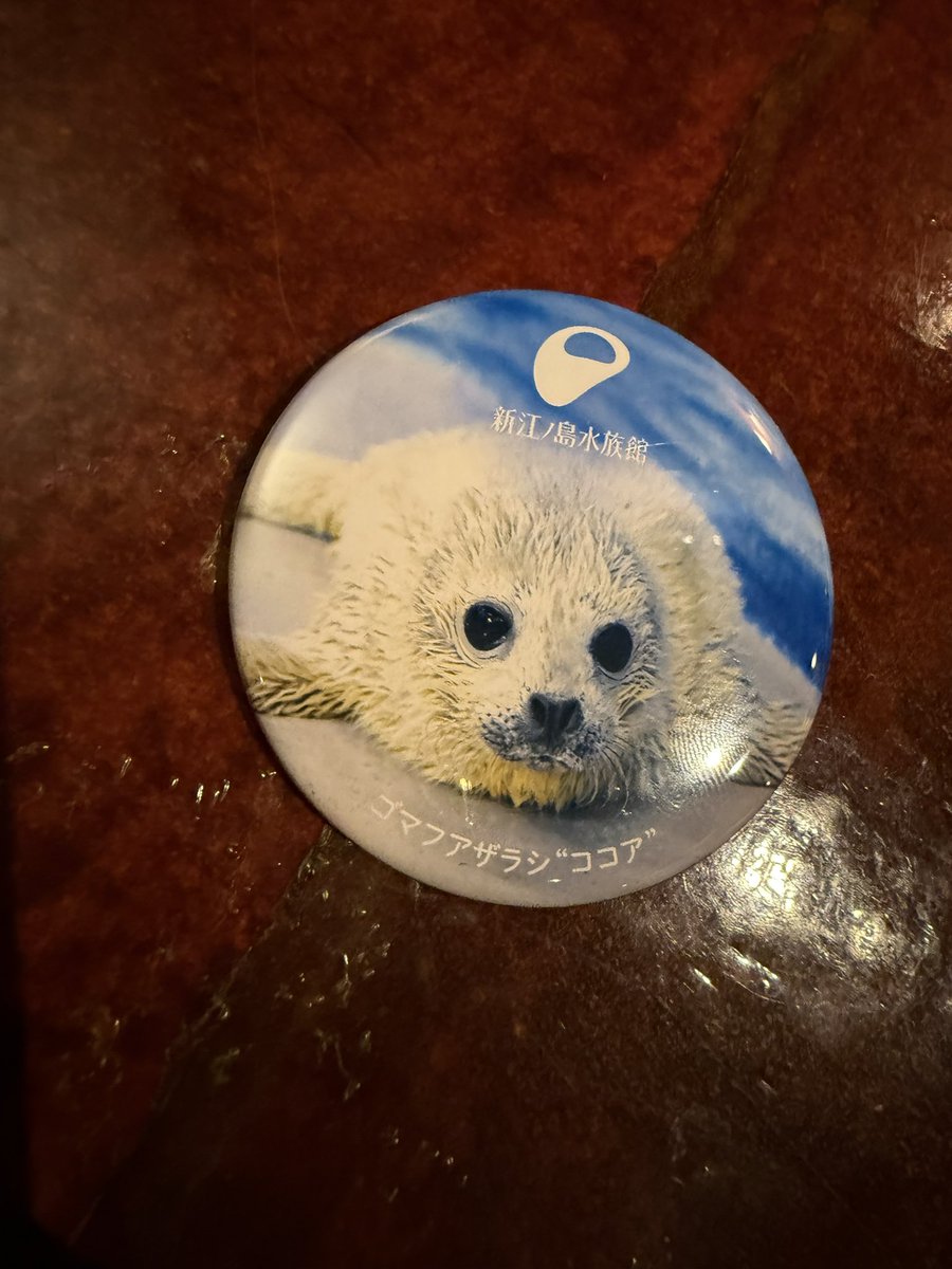 suna2391's tweet image. あたった ·͜·
再投稿すいません；；
 #新江ノ島水族館 #えのすい #ココア