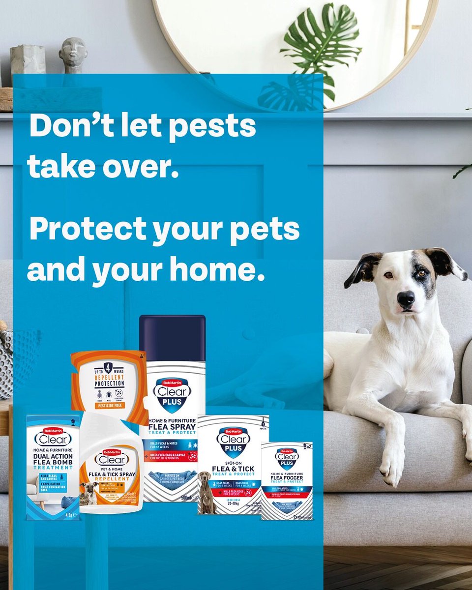 Protect your pet and your home from fleas and ticks with Bob Martin. Fast, effective, and year-round peace of mind. 🐾🏡