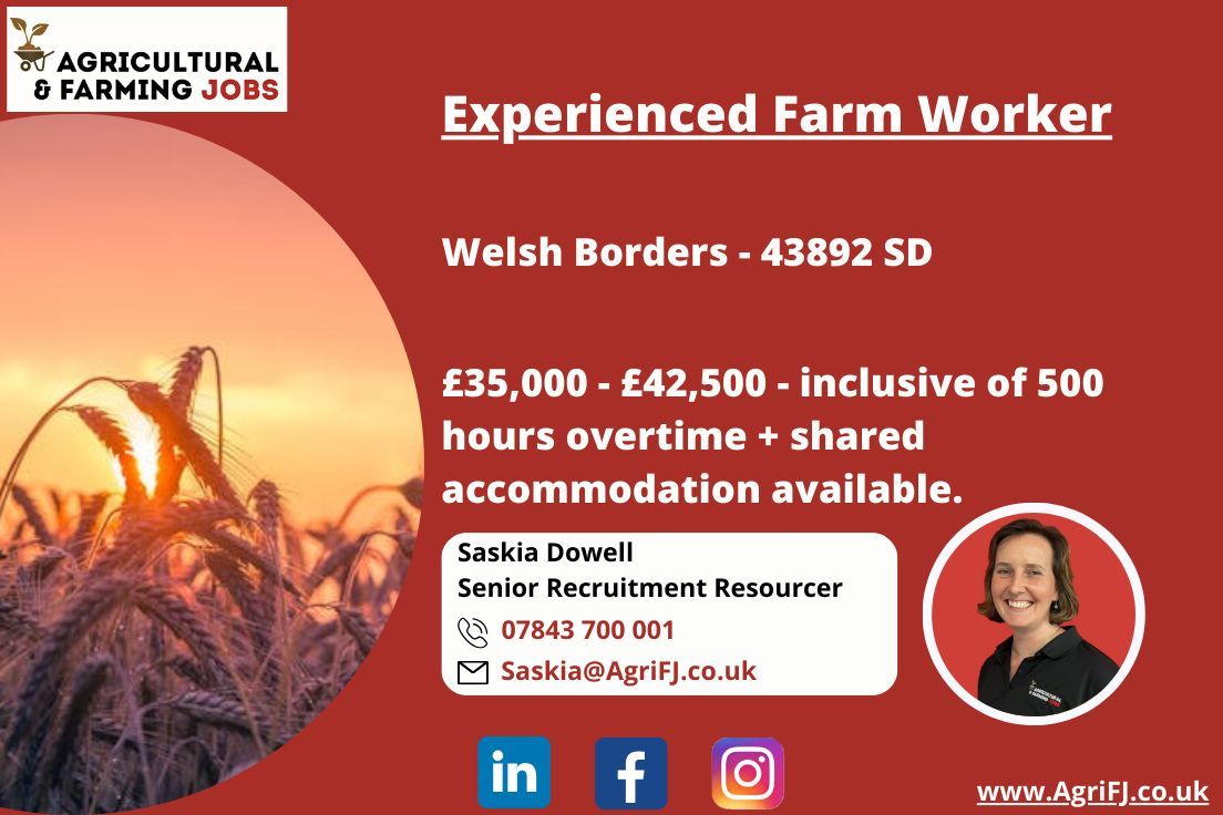 Agriculturaljob's tweet image. Experienced Tractor Driver and Farm Worker Job Opportunity 🚜
📍 Welsh Borders
💰 £35,000 - £42,500 basic salary

For further information and to apply, please contact Saskia on 📞 07843 700 001 or 📧Saskia@AgriFJ.co.uk

#agrifj #farmworker #tractordriver #farmjobs #jobsinfarming