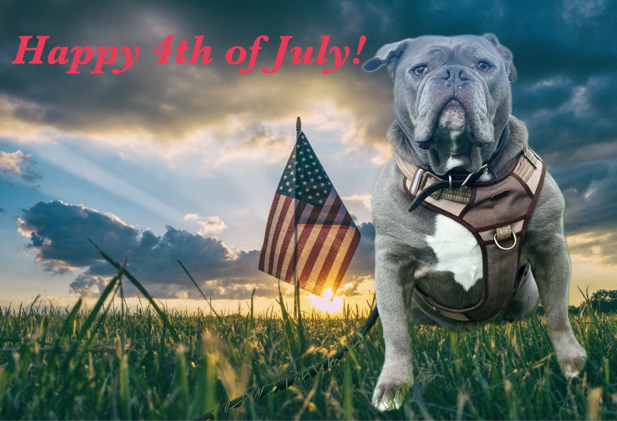 KingTuckerC's tweet image. Happy 4th of July! Please be safe and have fun with family and friends, and please, please, please keep fireworks to a minimum. All of us will thank you. 😉😃❤️🥰👊