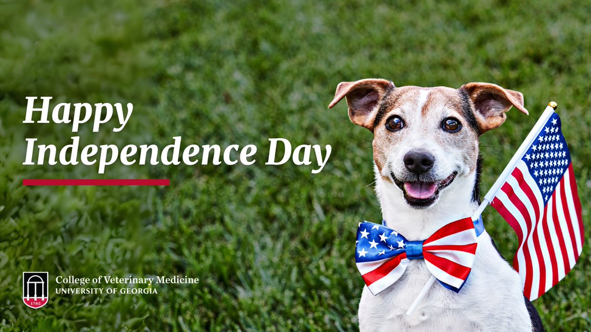 ugavetmed's tweet image. Happy Independence Day!
Today, the UGA Pet Health Center will be closed. The Veterinary Teaching Hospital will be open for emergencies only.
If your animal experiences a medical emergency, please contact our Emergency Services at (706) 542-3221.