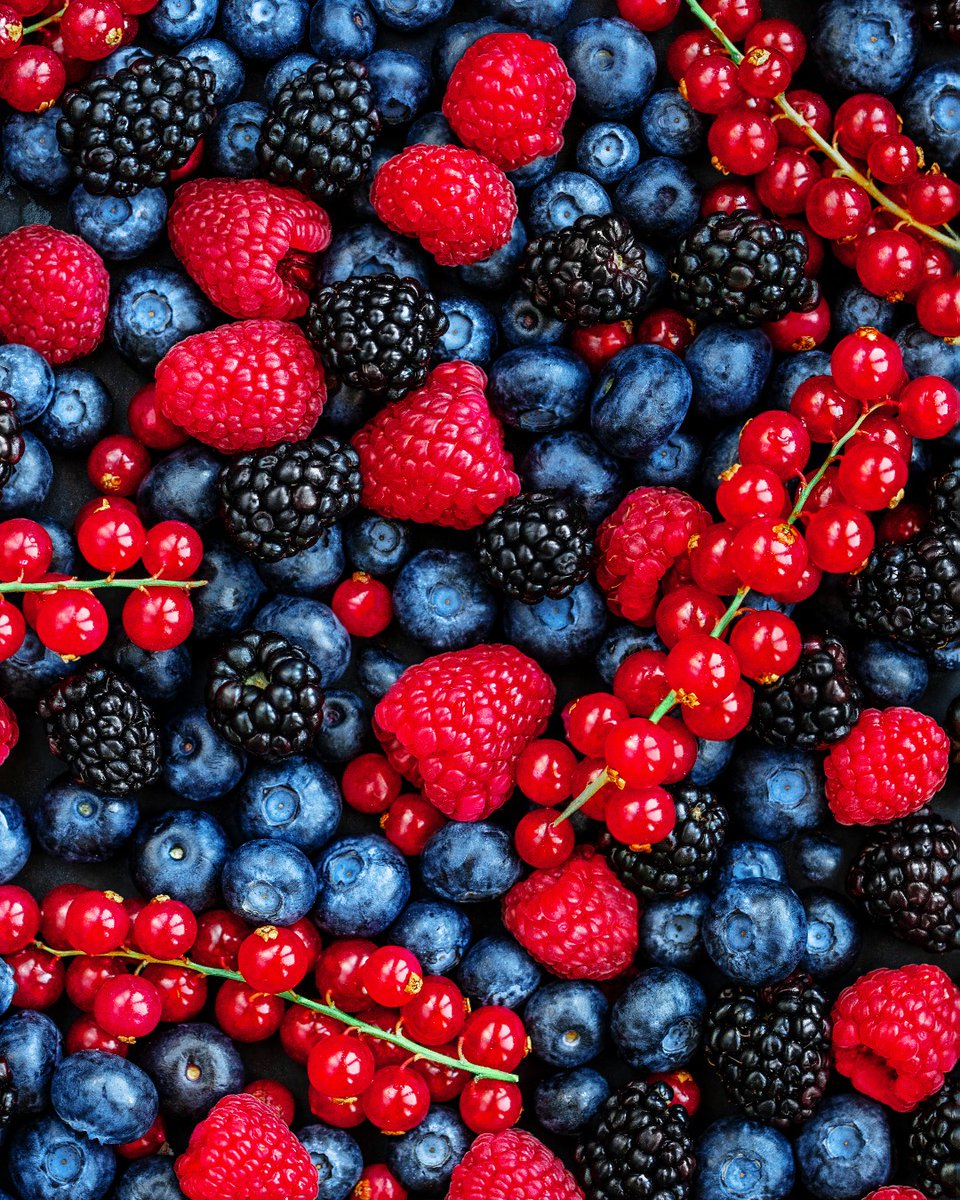 Happy #FourthOfJuly!❤️💙 What do you plan on photographing this weekend?