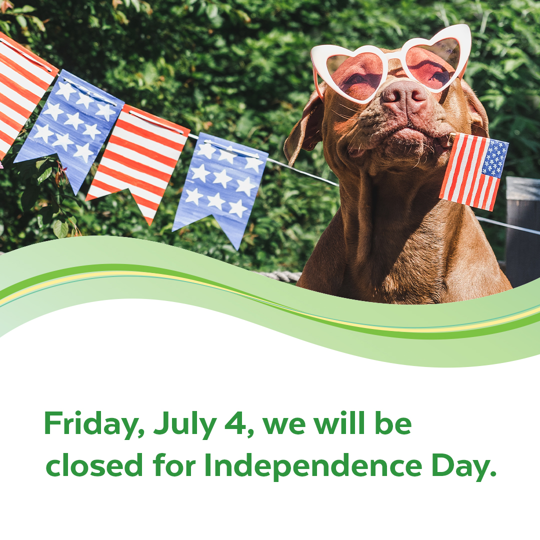 🎆 4th of July 🎆 All Nusenda branches will be closed on July 4. Wishing you a safe and joyful holiday! Access your accounts anytime via our app or online. Thank you for being a valued member! #Nusenda #IndependenceDay #HolidayHours #CreditUnion #July4th
