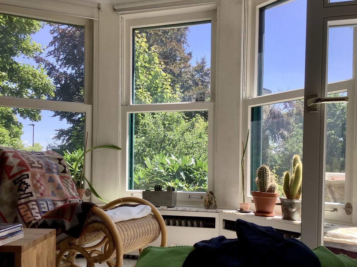 Sommer-Siesta auf dem Sofa