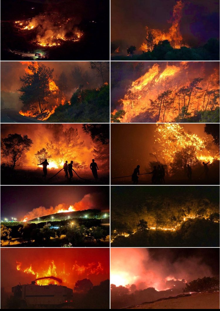 Dağlarında çiçekler açan İzmir' im yanıyor...
#izmiryanıyor