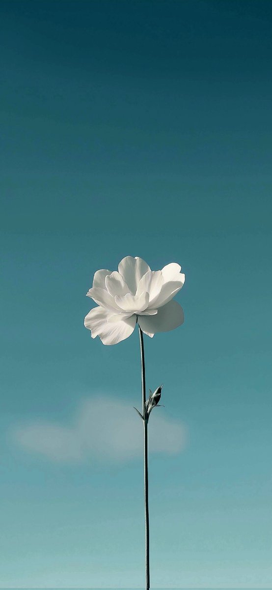 Seni ve sana seni iyi hissettireni
çok sev.