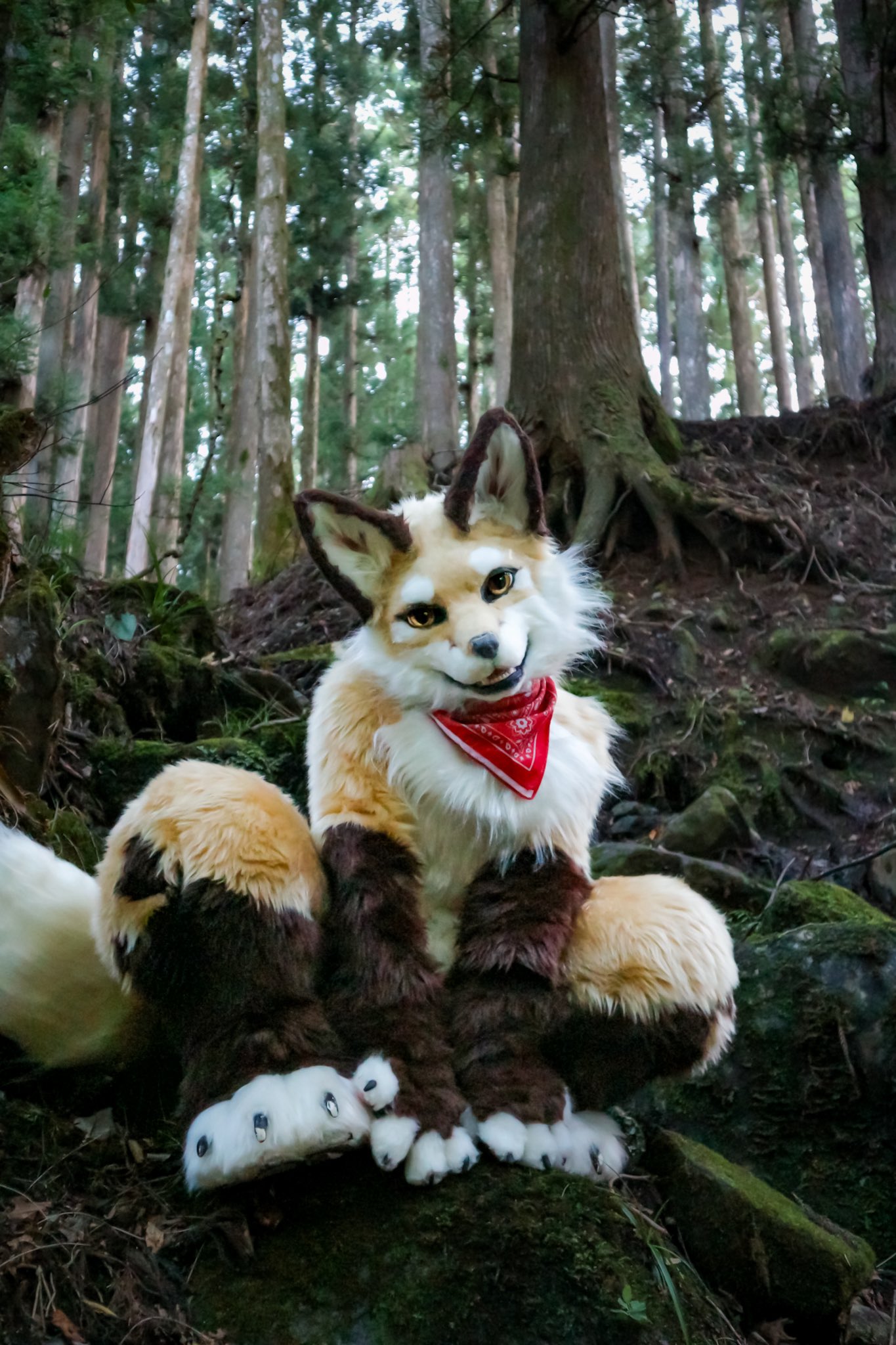 shippo crafts 🦊 シッポクラフツ (@shippocrafts_jp) / X