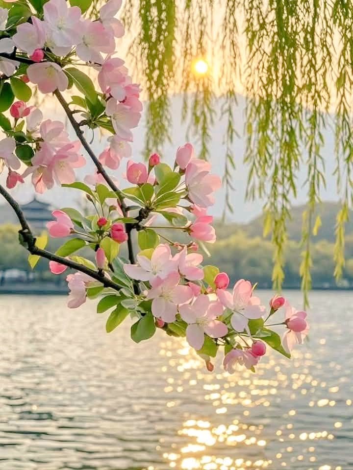 گُل جنت🌷 (@guljnt) on Twitter photo #ملک_پرموشن
گُل فالوورز 🌺
🥀<a href="/guljnt/">گُل جنت🌷</a>
Special↩️
<a href="/01Mllik/">𝙈𝘼𝙇𝙄𝙆 𝙅𝙄💫💙</a>
<a href="/1arshd/">𝗔𝗿𝘀𝗵𝗱 𝗠𝗹𝗶𝗸💫👑</a>
<a href="/01rshd/">ارشـــد مــلــک❤️</a>
<a href="/1Arshii/">𝓐𝓻𝓼𝓱𝓲 𝓜𝓵𝓲𝓴 🧚</a>
<a href="/1Sehar_/">𝐒ҽԋαʀ 👑</a>
<a href="/Snam5_/">🍁Sanam🍁</a>
<a href="/1Mahii_/">🦋ماہی ملک 🦋</a>
<a href="/111mn1/">🐬آمنہ ملک🦋</a>
<a href="/glmsjd/">𝑺𝒂𝒋𝒋𝒂𝒅 ✨</a>
<a href="/shz787/">🌟⭐️🌟🌟sʜᴀʜᴢᴀᴅ ᴍᴜɴɪʀ🌟⭐️🌟⭐️</a>
<a href="/1shobii/">𝓢𝓱𝓸𝓪𝓲𝓫 𝓞𝓯𝓯𝓲𝓬𝓲𝓪𝓵</a>
<a href="/10bshr/">Bashir Ahmed</a>
<a href="/ZK__32/">Zumar Khan</a>
<a href="/md_804/">🇧🇫 PTI_IK 🇧🇫</a>
<a href="/Hurain_5/">Hurain 💞حورین</a>
<a href="/Haris_943/">Haris PTI ᵀᶠᴸᵂ</a>
❣️
<a href="/1fazl2/">فضـ𝓪𝓴𝓫𝓪𝓻ـل</a> <a href="/_aina1/">AnuM🦩</a>
<a href="/Ghz35/">🇬 🇭 🇦 🇿 🇦 🇱 🇦 🇭</a> <a href="/11iasd/">Ali Asad</a>
<a href="/Pir_80/">Peer Shb</a> <a href="/Znt31/">🦋Zeenat🦋</a>
<a href="/1fzalI/">💓PTI ACCOUNTS PROMORTER💓</a> <a href="/Ghz79/">❃ 𝔾𝕙𝕒𝕫𝕒𝕝𝕒𝕙 𝕊𝕒𝕕𝕒𝕗 ❃</a>
@ars1a_ <a href="/NK_pti/">𝒜𝓏𝒶𝒹 🇵🇰</a>
<a href="/1qqmr/">𝓦𝓐𝓐𝓓</a> <a href="/ze_kh1/">زینیـــــہ خـان🍃🌸</a> #ملک_پرموشن
گُل فالوورز 🌺
🥀<a href="/guljnt/">گُل جنت🌷</a>
Special↩️
<a href="/01Mllik/">𝙈𝘼𝙇𝙄𝙆 𝙅𝙄💫💙</a>
<a href="/1arshd/">𝗔𝗿𝘀𝗵𝗱 𝗠𝗹𝗶𝗸💫👑</a>
<a href="/01rshd/">ارشـــد مــلــک❤️</a>
<a href="/1Arshii/">𝓐𝓻𝓼𝓱𝓲 𝓜𝓵𝓲𝓴 🧚</a>
<a href="/1Sehar_/">𝐒ҽԋαʀ 👑</a>
<a href="/Snam5_/">🍁Sanam🍁</a>
<a href="/1Mahii_/">🦋ماہی ملک 🦋</a>
<a href="/111mn1/">🐬آمنہ ملک🦋</a>
<a href="/glmsjd/">𝑺𝒂𝒋𝒋𝒂𝒅 ✨</a>
<a href="/shz787/">🌟⭐️🌟🌟sʜᴀʜᴢᴀᴅ ᴍᴜɴɪʀ🌟⭐️🌟⭐️</a>
<a href="/1shobii/">𝓢𝓱𝓸𝓪𝓲𝓫 𝓞𝓯𝓯𝓲𝓬𝓲𝓪𝓵</a>
<a href="/10bshr/">Bashir Ahmed</a>
<a href="/ZK__32/">Zumar Khan</a>
<a href="/md_804/">🇧🇫 PTI_IK 🇧🇫</a>
<a href="/Hurain_5/">Hurain 💞حورین</a>
<a href="/Haris_943/">Haris PTI ᵀᶠᴸᵂ</a>
❣️
<a href="/1fazl2/">فضـ𝓪𝓴𝓫𝓪𝓻ـل</a> <a href="/_aina1/">AnuM🦩</a>
<a href="/Ghz35/">🇬 🇭 🇦 🇿 🇦 🇱 🇦 🇭</a> <a href="/11iasd/">Ali Asad</a>
<a href="/Pir_80/">Peer Shb</a> <a href="/Znt31/">🦋Zeenat🦋</a>
<a href="/1fzalI/">💓PTI ACCOUNTS PROMORTER💓</a> <a href="/Ghz79/">❃ 𝔾𝕙𝕒𝕫𝕒𝕝𝕒𝕙 𝕊𝕒𝕕𝕒𝕗 ❃</a>
@ars1a_ <a href="/NK_pti/">𝒜𝓏𝒶𝒹 🇵🇰</a>
<a href="/1qqmr/">𝓦𝓐𝓐𝓓</a> <a href="/ze_kh1/">زینیـــــہ خـان🍃🌸</a>