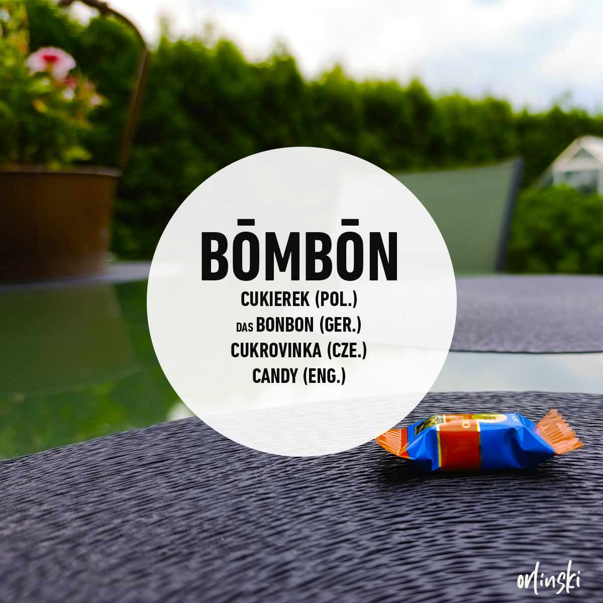 wojtekorlinski's tweet image. Piōntek ze godkōm
Bōmbōn - cukierek (pol.); das Bonbon (ger.); cukrovinka (cze.); candy (eng)
Kery miglanc ôstawił bōmbōn we zegrōdce?
PL: Który psotnik zostawił cukierek w ogródku?
Tukej ôdmiana:
dykcjonorz.eu/dykcjonorz/bom…
#godka #piontekzgodkom #dykcjonorz