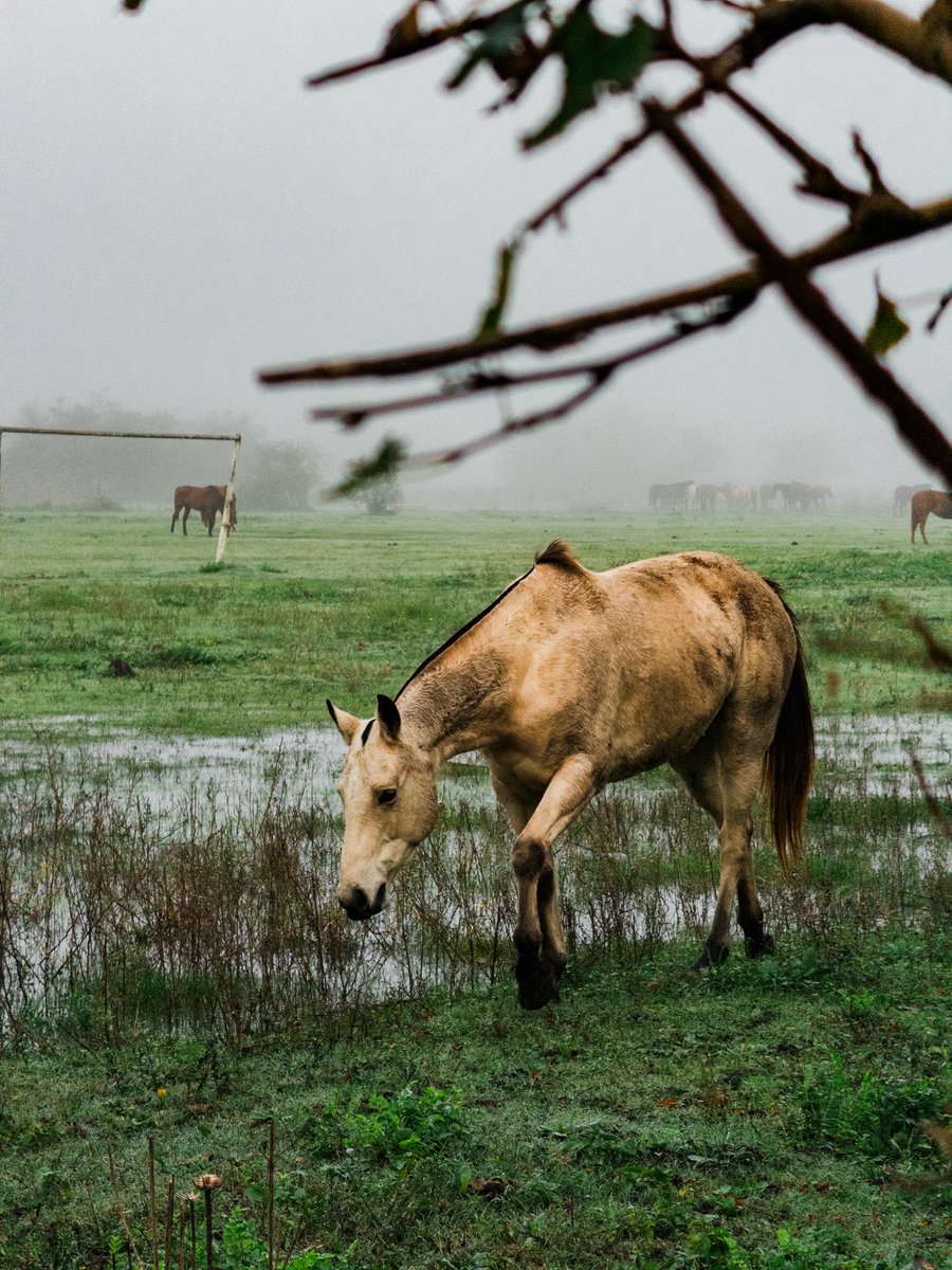 Tuiteá una foto que VOS hayas sacado. Sólo la foto. Sin ninguna descripción.