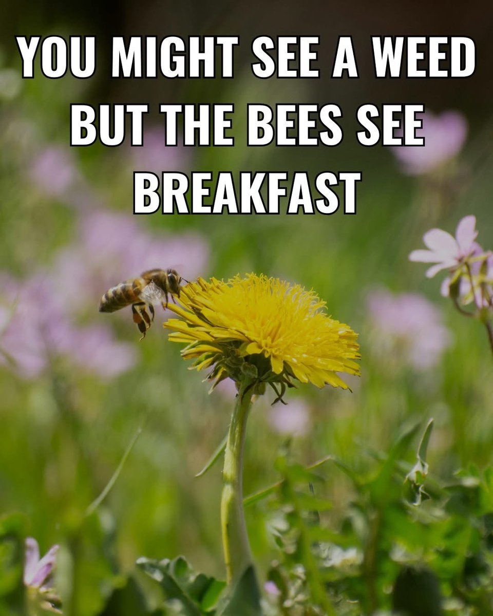Good Am 💝👊🏼
The 
🐝’s 
See breakfast…