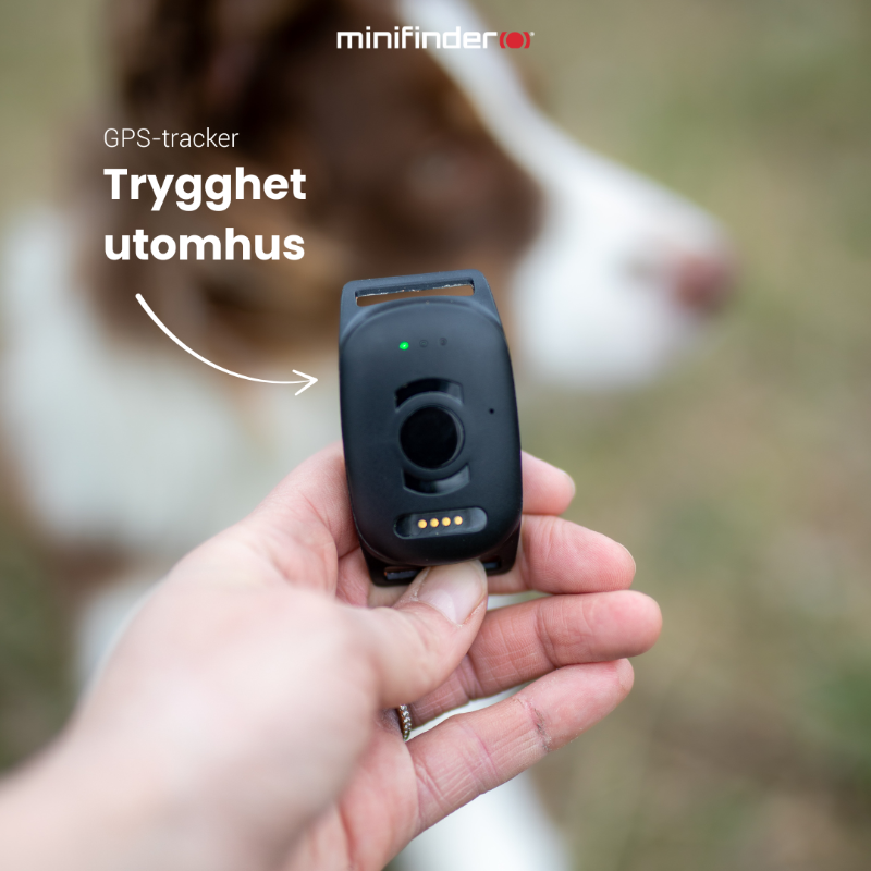 minifinder's tweet photo. 🐶 Vet du var ditt husdjur är?

Med Atto Pro ser du djurets position i realtid – var du än är.

Trygghet i varje steg!