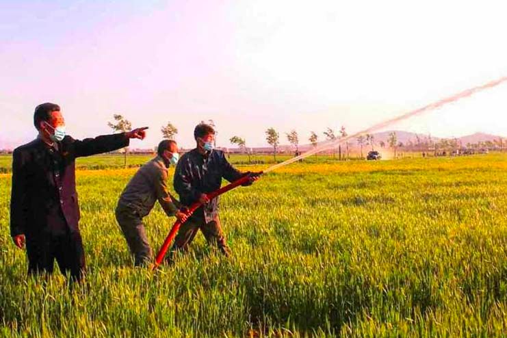 The justice department of Ryanggang province’s people committee has launched intensive inspections of farms throughout the province. #northkorea #dprk buff.ly/ZJeYwml