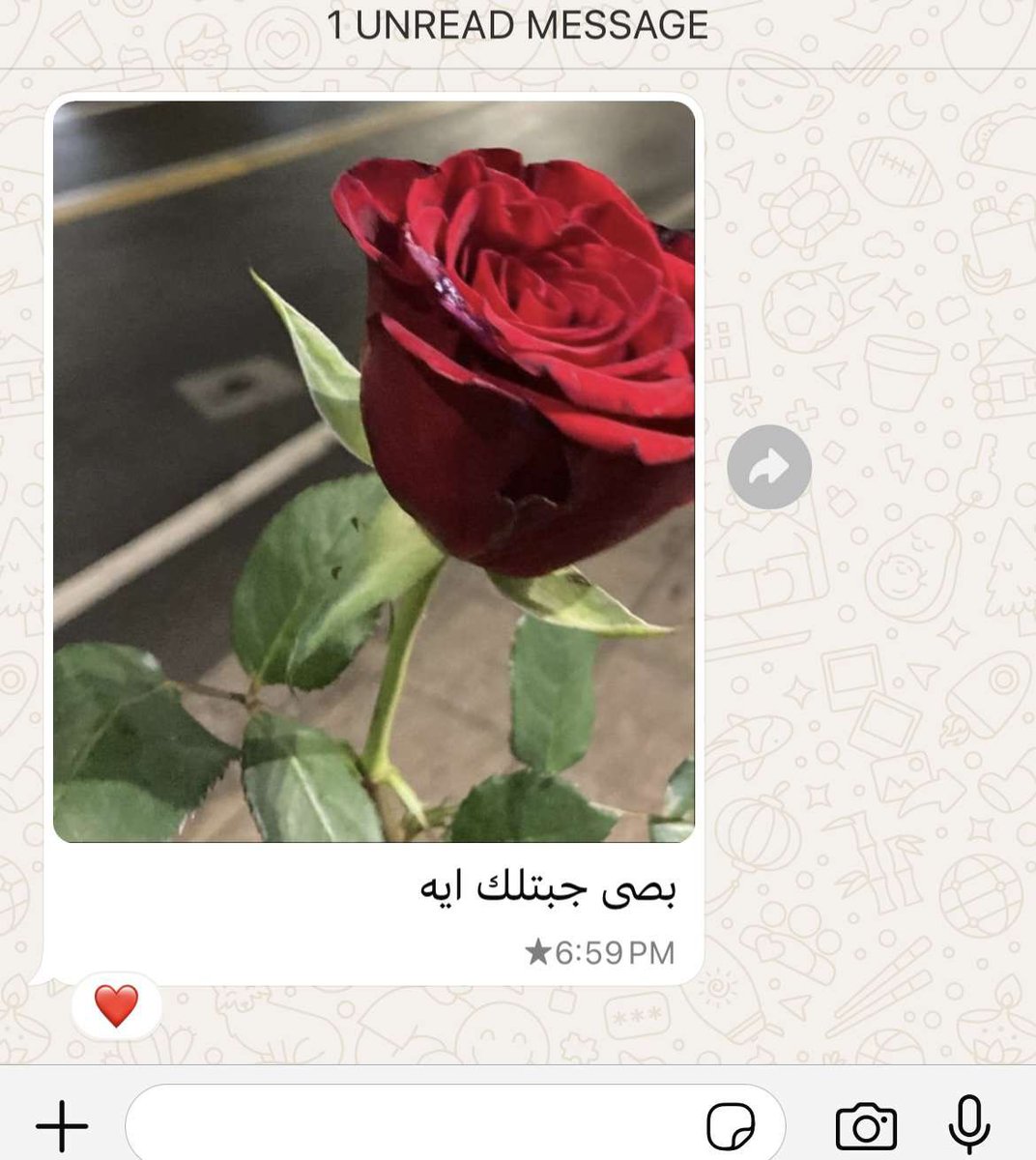 Mohamed El-desouki (@mohamed41341333) on Twitter photo 