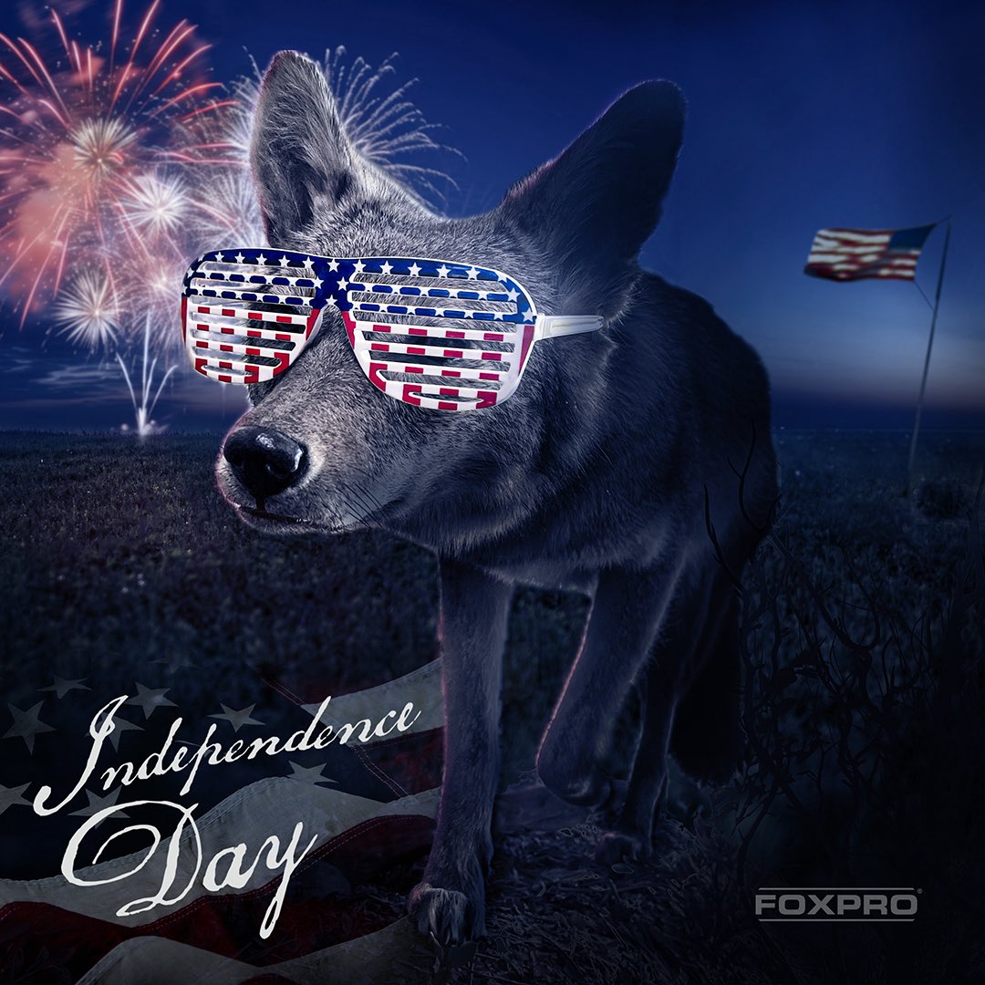 As we come together to celebrate this Independence Day, FOXPRO would like to extend our warmest wishes to you and your loved ones. This day reminds us of the freedom and opportunities we enjoy, and we are grateful for your continued support and trust in us.