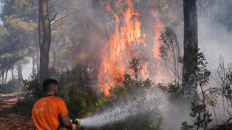 Buca'daki orman yangınında 1 tutuklama

veryansintv.com/bucadaki-orman…