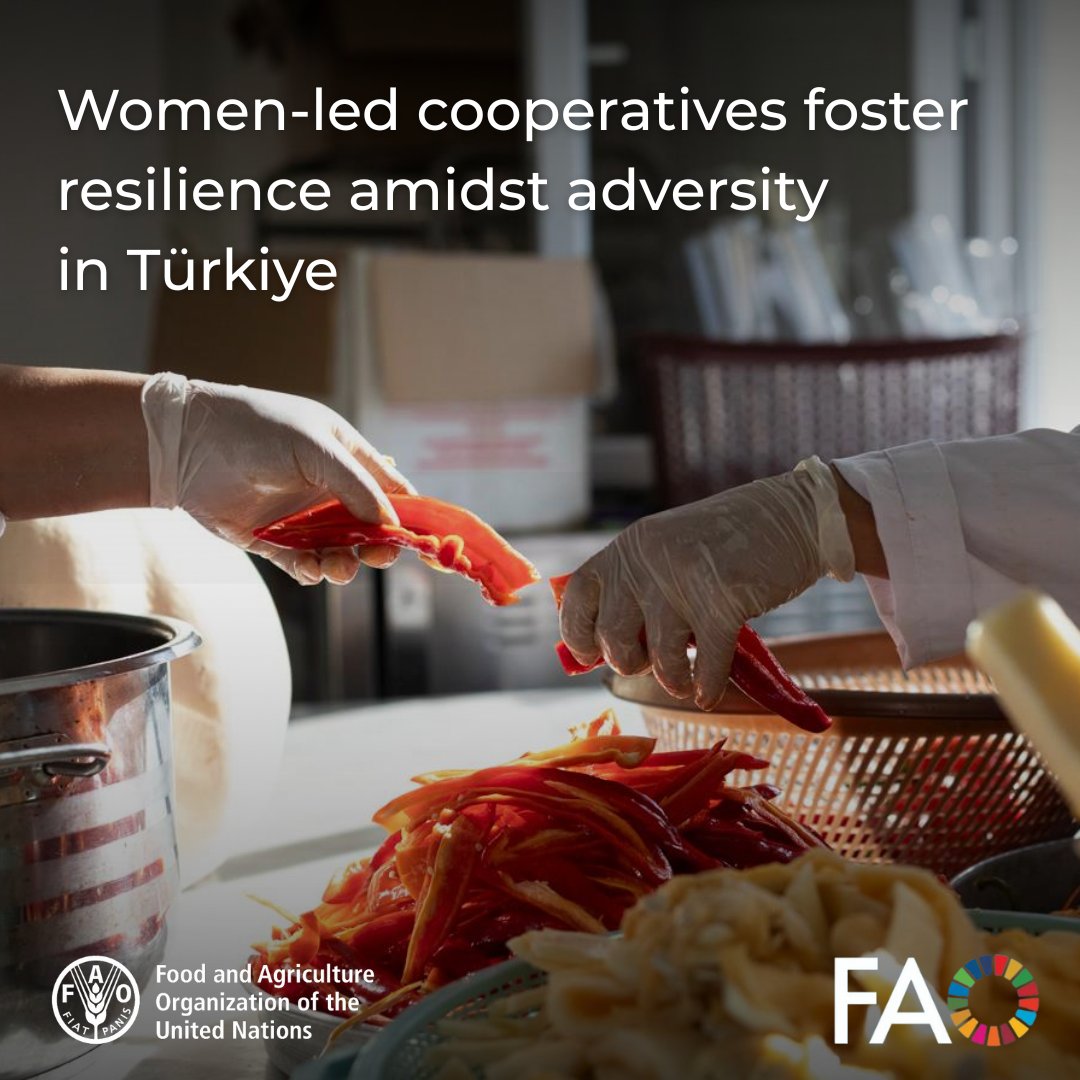 FAOGeneva (@faogeneva) on Twitter photo Çiğdem Kudret realized the skills she had – making jam, pickles, spice mixes, could be monetized.
Through her women’s cooperative in Samandağ, she’s rebuilding her life after the 2023 earthquake – with support from <a href="/FAO/">Food and Agriculture Organization</a>
ℹ️ bit.ly/4klAJMT
#InternationalDayofCooperatives Çiğdem Kudret realized the skills she had – making jam, pickles, spice mixes, could be monetized.
Through her women’s cooperative in Samandağ, she’s rebuilding her life after the 2023 earthquake – with support from <a href="/FAO/">Food and Agriculture Organization</a>
ℹ️ bit.ly/4klAJMT
#InternationalDayofCooperatives