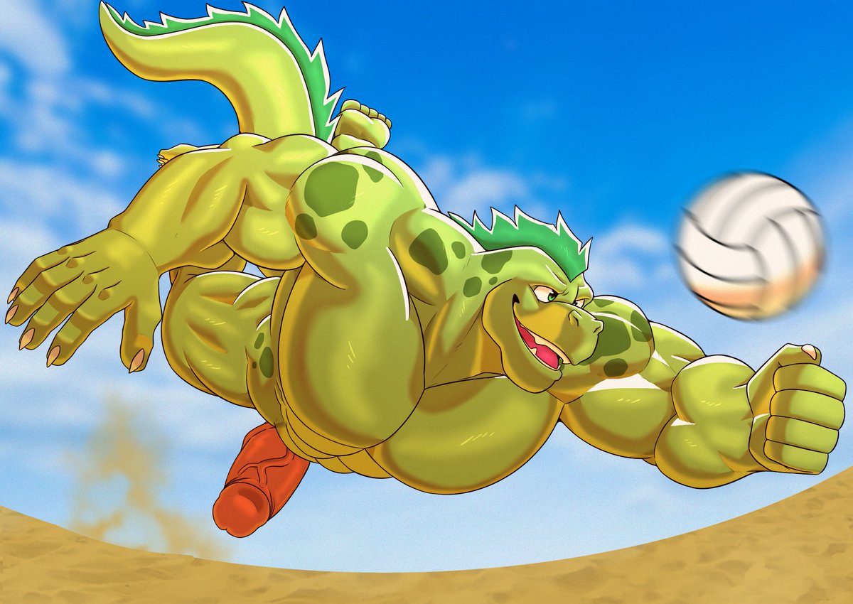Volleyball game on a nude beach?  
Sign me up!