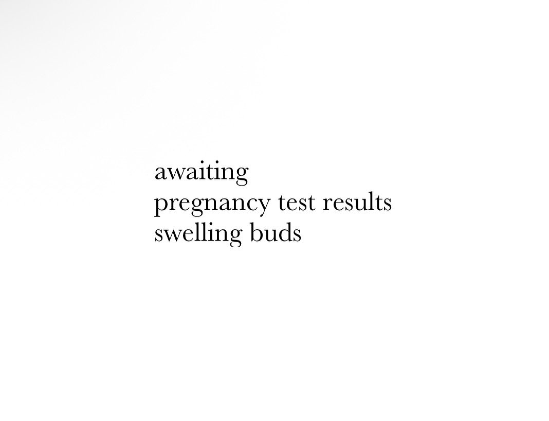 FreshoutMag's tweet image. #senryu by Marjolein Rottsteeg. Marjolein writes in #Dutch, #English & #French. Her work has been widely published & anthologized. #spring #expectations #poetry #baby #poetrycommunity #pregnancy #poems #haiku #poetrylovers #buds