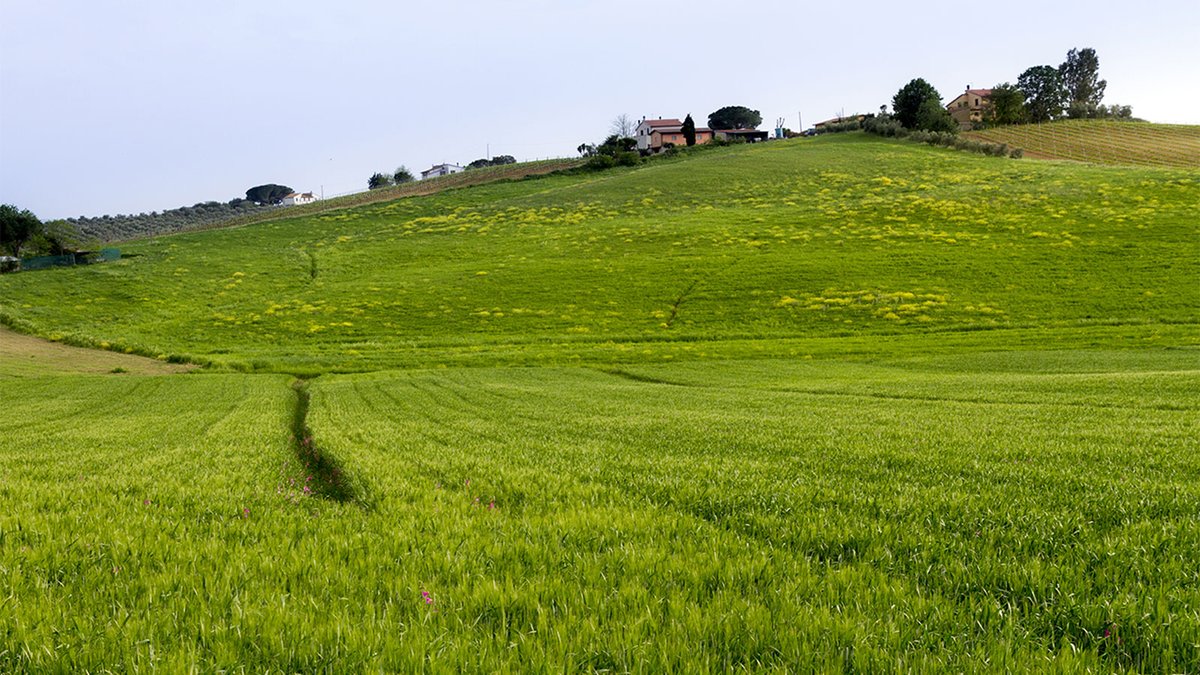 Milli Emlak’tan Ankara ve Balıkesir’de satılık arsa ve araziler! 

Milli Emlak Genel Müdürlüğü Ankara ve Balıkesir’de yer alan arsa ve arazileri satışa çıkardı. Gayrimenkullerin satış ihaleleri 8 Temmuz ve 17 Temmuz’da yapılacak.