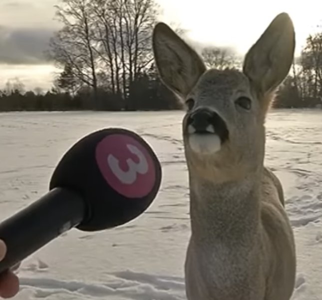 Kennt ihr Leute, deren Interviews legendär sind?  <a href="/tommygun_lol/">Tommygun</a> ganz vorne dabei