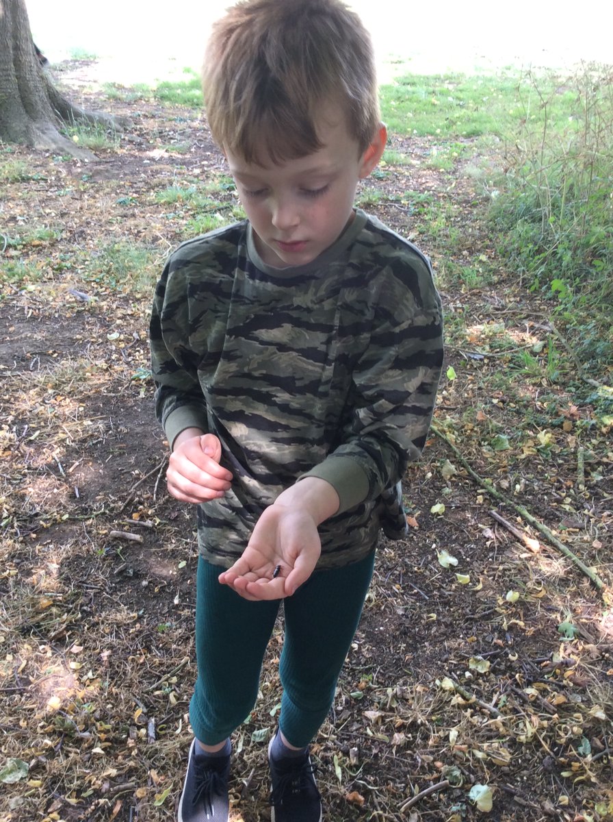 Freeman CP School tweet media