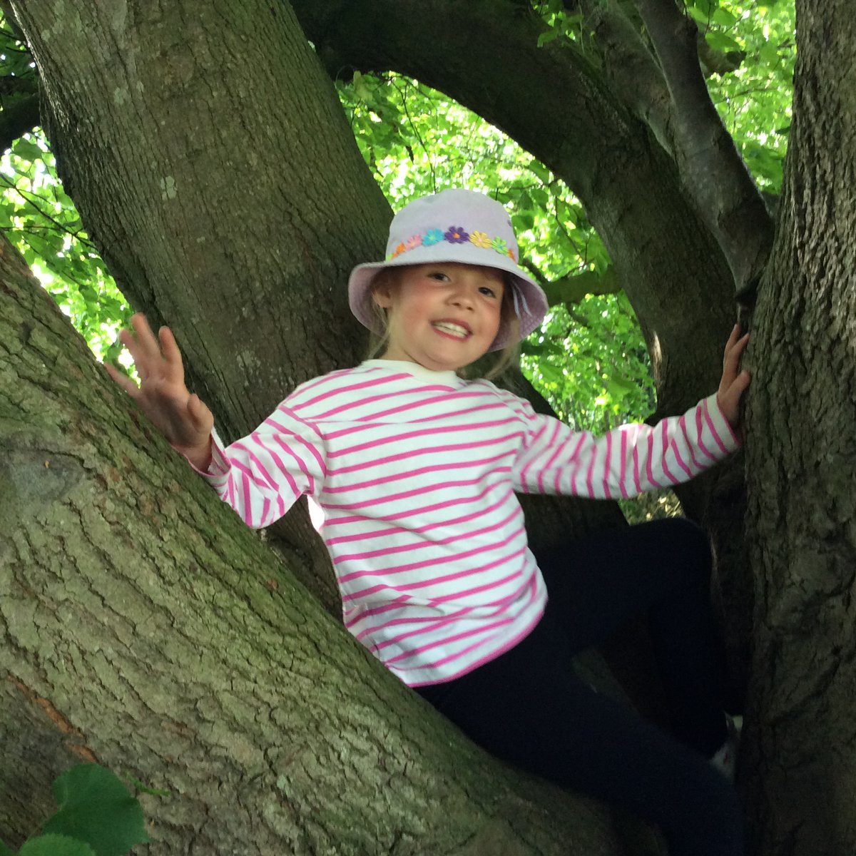 Freeman CP School tweet media