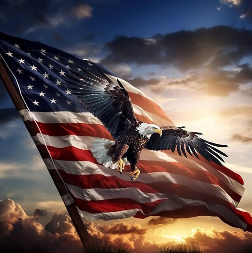Happy Independence Day!!! 
 🇺🇸  🦅
